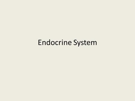 Endocrine System.