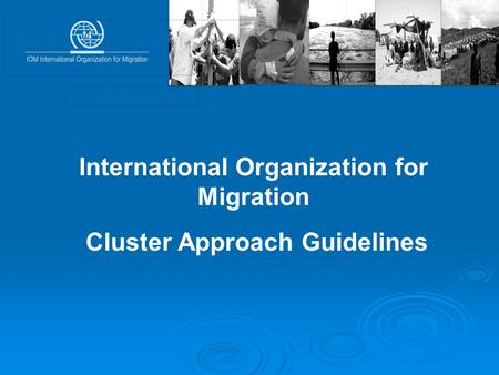 International Organization for Migration Cluster Approach Guidelines.