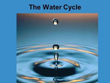 The Water Cycle.