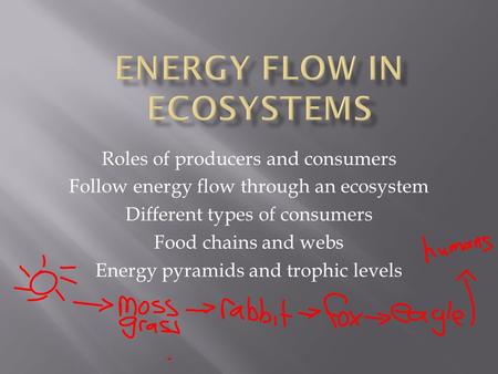 Roles of producers and consumers Follow energy flow through an ecosystem Different types of consumers Food chains and webs Energy pyramids and trophic.