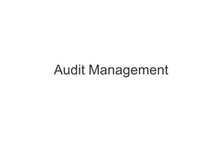 Audit Management. Resource allocation/prioritazion/planning/execution/ reassignments Evaluating audit quality/peer reviews Best practices identification.