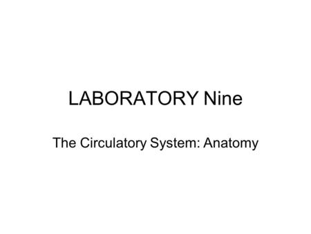 LABORATORY Nine The Circulatory System: Anatomy. Sheep Heart Dissection Identify the assigned superficial structures on your handout. Make a coronal section.