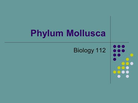 Phylum Mollusca Biology 112. Mollusks Snails, slugs, clams, octopus??? Do diverse, yet the same phylum??? Most mollusks have soft bodies and some type.