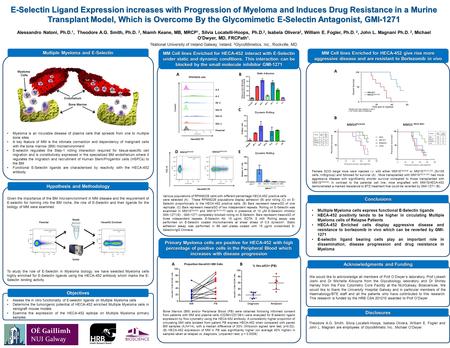 0 10 20 30 40 50 Time post tumour cells injection B E-Selectin Ligand Expression increases with Progression of Myeloma and Induces Drug Resistance in a.