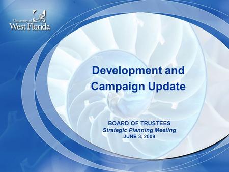 Development and Campaign Update BOARD OF TRUSTEES Strategic Planning Meeting JUNE 3, 2009.