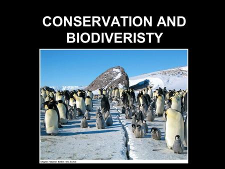 CONSERVATION AND BIODIVERISTY. BIODIVERISITY EVOLUTION SPECIATION MUTATIONSNATURAL SELECTION GEOGRAPHIC ISOLATION GENETIC DRIFT.