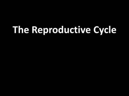 The Reproductive Cycle