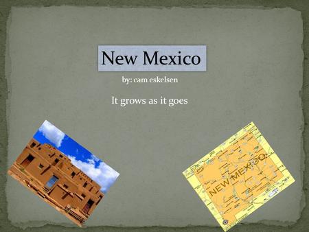 New Mexico by: cam eskelsen It grows as it goes.