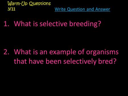 What is selective breeding?