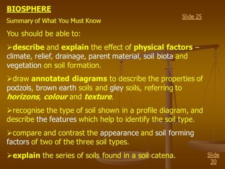 explain the series of soils found in a soil catena.