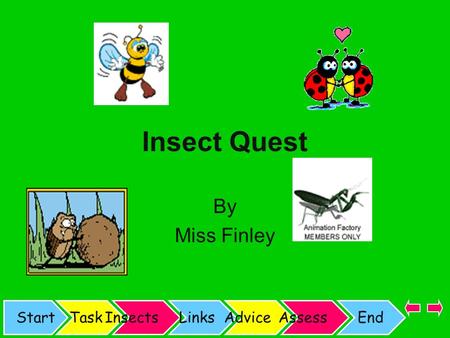 StartTaskInsectsLinksAdviceAssessEnd Insect Quest By Miss Finley.