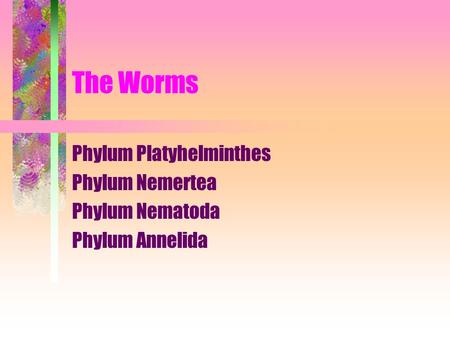 The Worms Phylum Platyhelminthes Phylum Nemertea Phylum Nematoda Phylum Annelida.