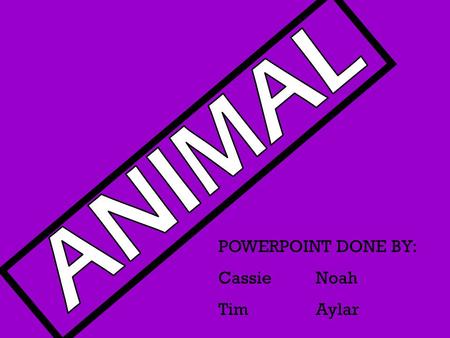 POWERPOINT DONE BY: Cassie Noah Tim Aylar. Baby Seal Kitten Baby Bunny 3 examples of Animals.