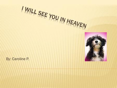 By: Caroline P..  This main subject of the book is that animals go to heaven because god made them for a reason. Like god told Noah to build a boat for.