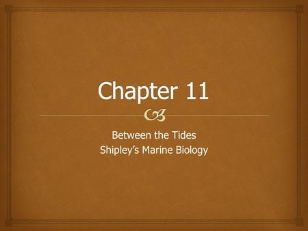 Between the Tides Shipley’s Marine Biology. What is the intertidal zone?  The intertidal zone is the area between the mean low tide and mean high tide.