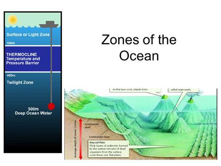 Zones of the Ocean. It’s all just one big ocean!