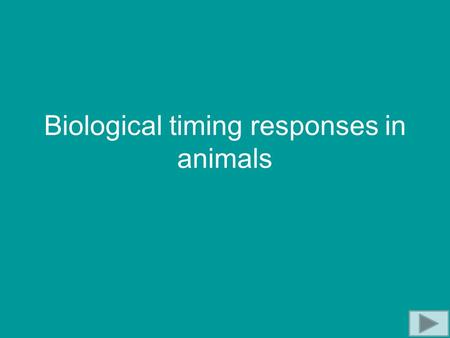 Biological timing responses in animals. Biological Clocks Used by animals for: Controlling daily rhythms, e.g. sleep Synchronising breeding times Predicting.