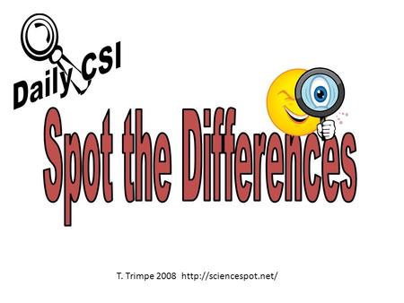 T. Trimpe 2008 http://sciencespot.net/ Daily CSI Spot the Differences T. Trimpe 2008 http://sciencespot.net/