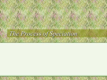 The Process of Speciation What is Speciation? The formation of a new species Species: a group of organisms that can breed with one another and produce.