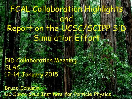 FCAL Collaboration Highlights and Report on the UCSC/SCIPP SiD Simulation Effort SiD Collaboration Meeting SLAC 12-14 January 2015 Bruce Schumm UC Santa.