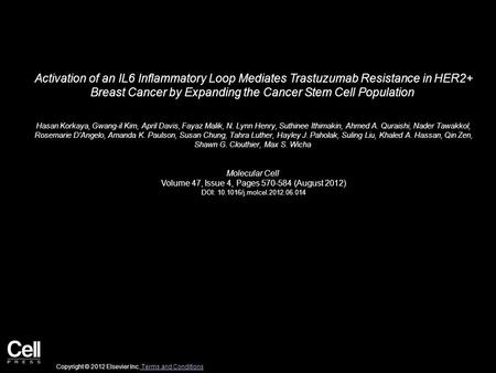 Activation of an IL6 Inflammatory Loop Mediates Trastuzumab Resistance in HER2+ Breast Cancer by Expanding the Cancer Stem Cell Population Hasan Korkaya,