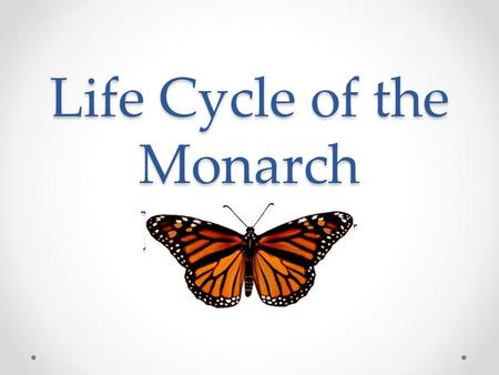 Life Cycle of the Monarch Butterfly