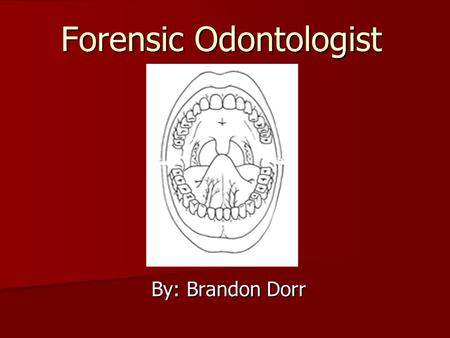 Forensic Odontologist By: Brandon Dorr. What is an Odontologist? A person who deals with the proper examination, handling and presentation of dental evidence.