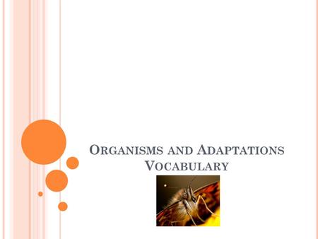 O RGANISMS AND A DAPTATIONS V OCABULARY. All the living and nonliving things that surround an organism.