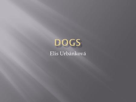 Elis Urbánková.  My favourite animal is a dog. It lives in my house in the Czech Republic. His name is Akim. He is very old but I like him a lot. I have.