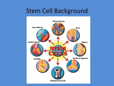 Stem Cell Background. What are they? “Stem cells are universal cells that have the ability to develop into specialized types of tissues that can then.