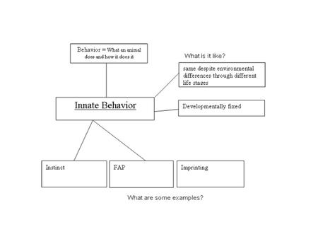 Innate behavior helps an individual to survive to reproduce when there is a stable environment and expected events occur. Crying for a human baby or opening.