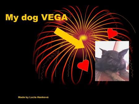 My dog VEGA Made by Lucia Hanková. Description  Something between german shepherd and czechoslovak wolf  Small head, big brown eyes, very long tongue:D.