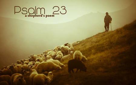 The LORD is my Shepherd, I shall not be in want He makes me lie down in green pastures.