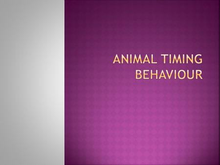  Organisms need a method of sleeping and waking in constant conditions.  Need to be able to predict timing of events like migration and hibernation.