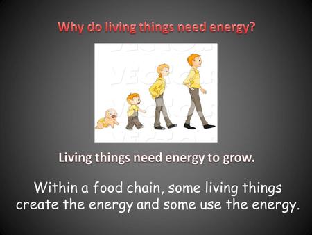 Within a food chain, some living things create the energy and some use the energy.