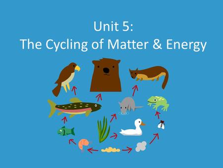 Unit 5: The Cycling of Matter & Energy. Community of interacting organisms within a biome living in BalanceBalance Ecosystems Each organism plays a role.