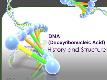 DNA (Deoxyribonucleic Acid)