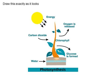 Draw this exactly as it looks. Mitochondria Draw this exactly as it looks Oxygen Glucose Water Carbon Dioxide Chemical energy Cellular Respiration.