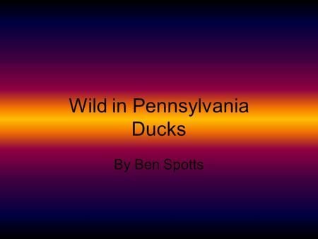 Wild in Pennsylvania Ducks By Ben Spotts. Introduction Did you know that ducks have webbed feet? The webbed feet help them swim. Read on to find out more.