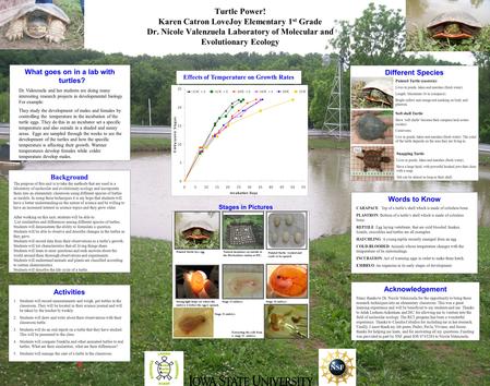 Turtle Power! Karen Catron LoveJoy Elementary 1 st Grade Dr. Nicole Valenzuela Laboratory of Molecular and Evolutionary Ecology What goes on in a lab with.