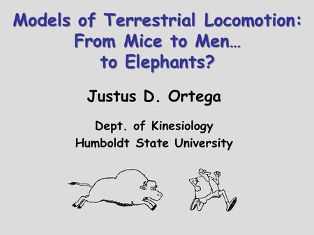 Models of Terrestrial Locomotion: From Mice to Men… to Elephants?