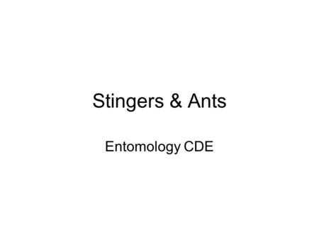 Stingers & Ants Entomology CDE.