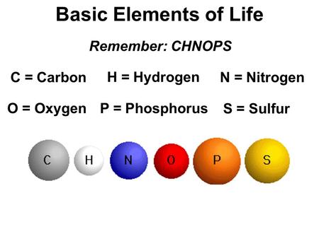 Basic Elements of Life Remember: CHNOPS C = Carbon H = Hydrogen