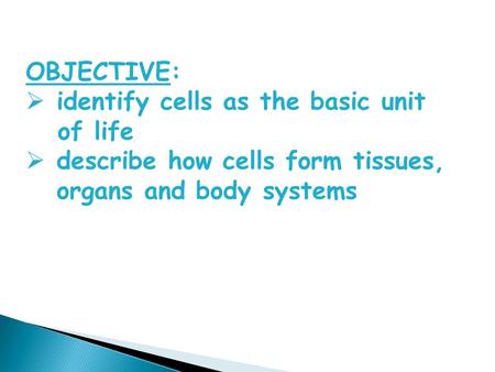 OBJECTIVE:  identify cells as the basic unit of life  describe how cells form tissues, organs and body systems.