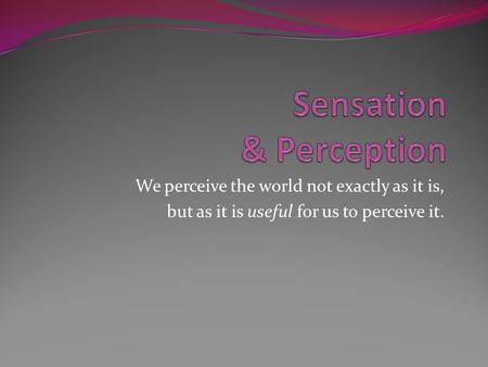 Sensation & Perception