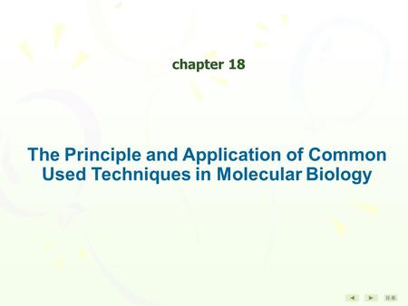 目录 The Principle and Application of Common Used Techniques in Molecular Biology chapter 18.