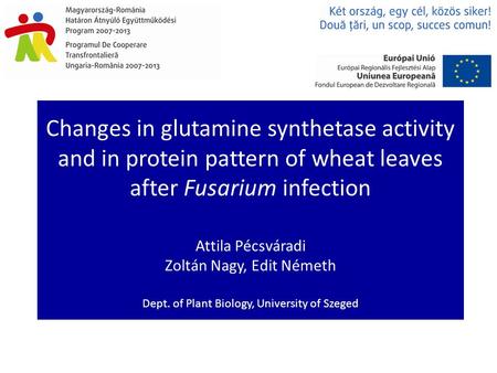 Changes in glutamine synthetase activity and in protein pattern of wheat leaves after Fusarium infection Attila Pécsváradi Zoltán Nagy, Edit Németh Dept.