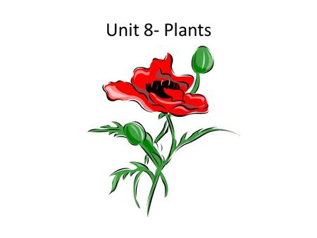 Unit 8- Plants. Soil Complex mixture of – Sand, Silt, Clay, Organic matter Types- – Sandy- – Clay- – Loamy-