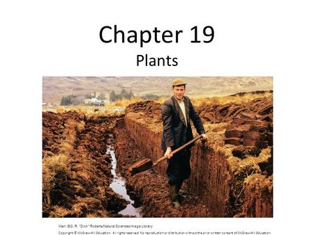 Chapter 19 Plants Man: ©G. R. Dick Roberts/Natural Sciences Image Library Copyright © McGraw-Hill Education.  All rights reserved. No reproduction or.