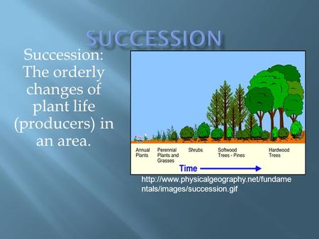 Succession: The orderly changes of plant life (producers) in an area.  ntals/images/succession.gif.